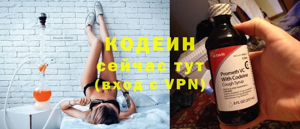 амф Елизово