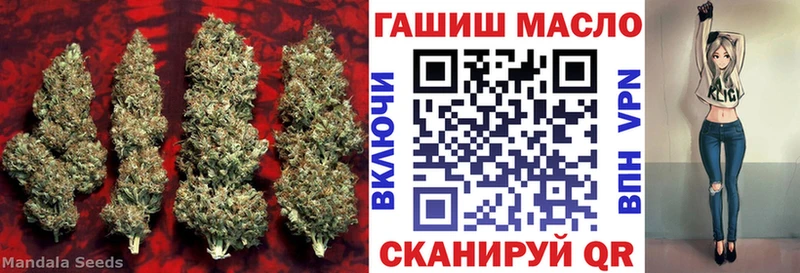 ТГК гашишное масло  Купить закладки  Можайск 